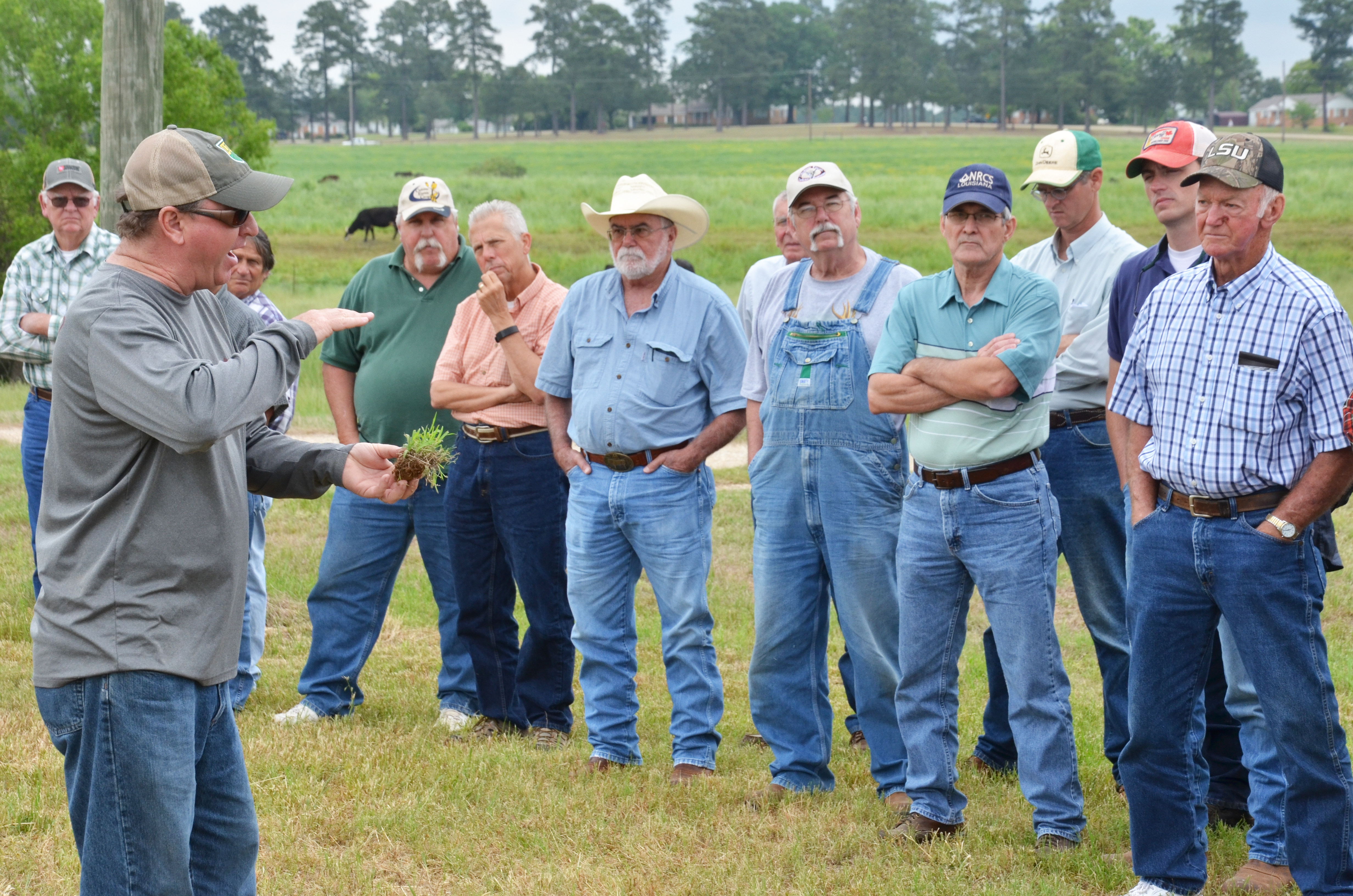 Field day focuses on beef economics 